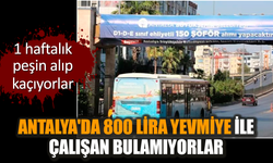 Antalya'da 800 lira yevmiye ile çalışan bulamıyorlar