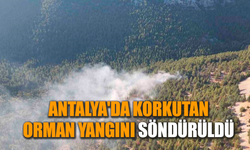 Antalya'da korkutan orman yangını söndürüldü