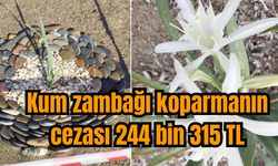 Kum zambağı koparmanın cezası 244 bin 315 TL