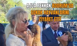 Ajda Pekkan sokak hayvanlarına destek verdi
