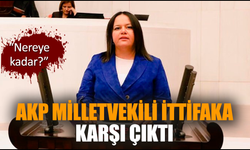 AKP milletvekili ittifaka karşı çıktı: “Nereye kadar?”