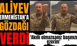 Aliyev'in sözleri gündem oldu: Akıllı olmazsanız başınızı ezerim
