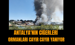 Antalya'nın ciğerleri ormanları cayır cayır yanıyor