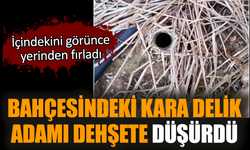 Bahçesindeki kara delik adamı dehşete düşürdü