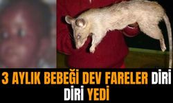 Üç aylık bebeği fareler canlı canlı yedi!