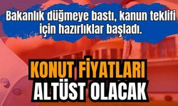 Konut fiyatları altüst olacak! Bakanlık düğmeye bastı