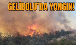 Gelibolu'da yangına havadan müdahale ediliyor