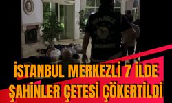 İstanbul merkezli 7 ilde Şahinler Çetesi çökertildi