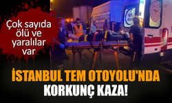 İstanbul TEM Otoyolu'nda korkunç kaza! Ölü ve yaralılar var