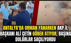 Antalya’da orman yanarken AKP İl Başkanı göbek atıyor başına dolarlar saçılıyordu