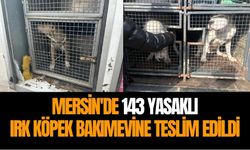 Mersin'de 143 yasaklı ırk köpek bakımevine teslim edildi