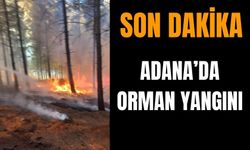 SON DAKİKA: Adana’da orman yangını