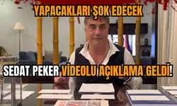 Sedat Peker videolu açıklama geldi! Yapacakları şok edecek