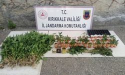 Kırıkkale'de büyük uy*şturucu operasyonu: 12 şüpheli gözaltında