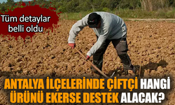 Antalya ilçelerinde çiftçi hangi ürünü ekerse destek alacak?