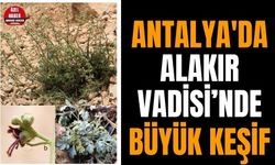Antalya'da Alakır Vadisi’nde büyük keşif
