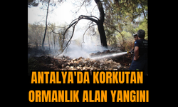 Antalya'da korkutan ormanlık alan yangını