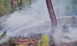 Muğla'da yıldırım yangına neden oldu