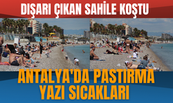 Antalya'da pastırma yazı sıcakları: Dışarı çıkan sahile koştu