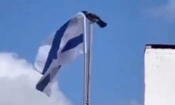 Karganın İsrail Bayrağı ile Amansız Mücadelesi