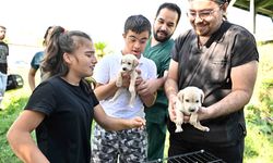 Antalya'da özel çocuklar sokak hayvanlarıyla buluştu