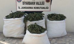 Diyarbakır'da büyük uy*şturucu operasyonu