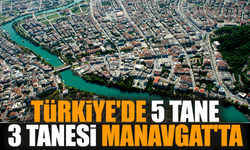 Türkiye'de 5 tane 3 tanesi Manavgat'ta