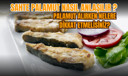 Sahte palamut nasıl anlaşılır? Palamut alırken nelere dikkat etmelisiniz?