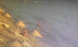 Muğla'da bir kişi alkollü denize girdi fenalaşarak öldü