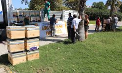 Antalya Büyükşehir Belediyesi'nden kovanı desteği