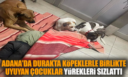 Adana'da köpeklerle uyuyan çocuklar yürekleri sızlattı