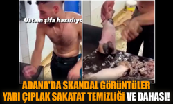 Adana'da skandal görüntüler: Yarı çıplak sakatat temizliği