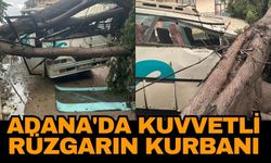 Adana'da kuvvetli rüzgarın kurbanı! Midibüs ağaç devrilmesi sonucu hurdaya döndü