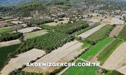 Ordu Altınordu'da mahkemeden satılık 1.243 m² arsa