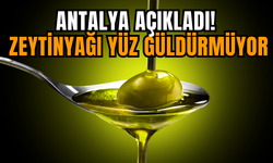 Antalya Açıkladı! Zeytinyağı Yüz Güldürmüyor