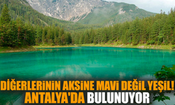 Diğerlerinin aksine mavi değil yeşil! Antalya'da bulunuyor