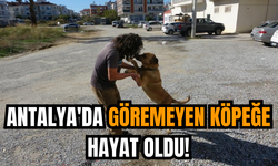 Antalya'da göremeyen köpeğe hayat oldu!