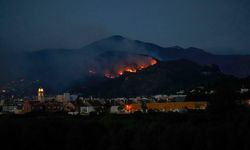 İspanya'da çıkan orman yangınında bin 400 hektarlık alan kül oldu