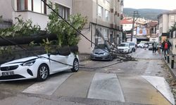 Bursa'da lodos felaketi! Araçlar fena etkilendi