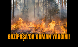 Gazipaşa'da Orman Yangını!