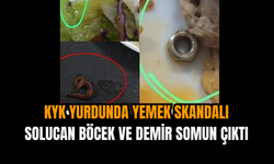 KYK Yurdunda Yemek Skandalı: Solucan Böcek ve Demir Somun Çıktı