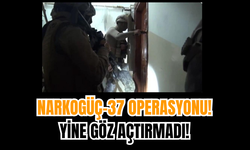 NARKOGÜÇ-37 Operasyonu: Yine göz açtırmadı!