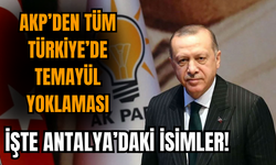 AKP'den tüm Türkiye'de temayül yoklaması! Antalya'da da yapılıyor
