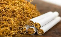 Sigara grubundan fiyat artışı: Sarma tütününe zam
