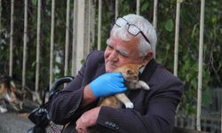 Antalya'nın Kedici Babası! Her gün 500'den fazla kedi besliyor