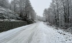 Artvin'de kar 13 köy yolunu kapattı
