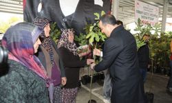 Burdur'da 5 bin incir fidanı dağıtımı yapıldı