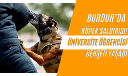Burdur’da Köpek Saldırısı! Üniversite Öğrencisi Dehşeti Yaşadı