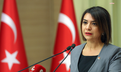 CHP Genel Başkan Yardımcısı Gamze Taşcıer'den asgari ücret yorumu