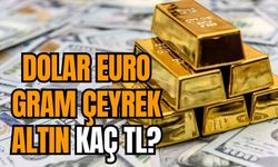Dolar euro gram çeyrek altın kaç TL? 17 Aralık 2023